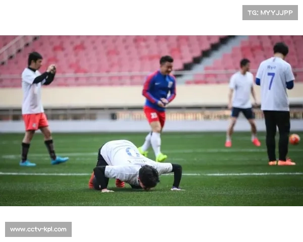 欧塞尔主场草皮渗水导致比赛延期 法国足球联盟对俱乐部进行罚款处罚